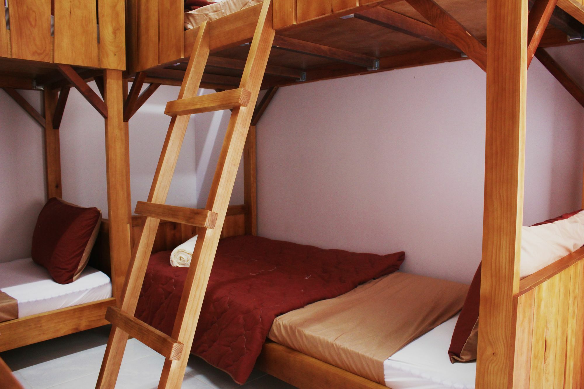 Tree House Hostel Далат Экстерьер фото